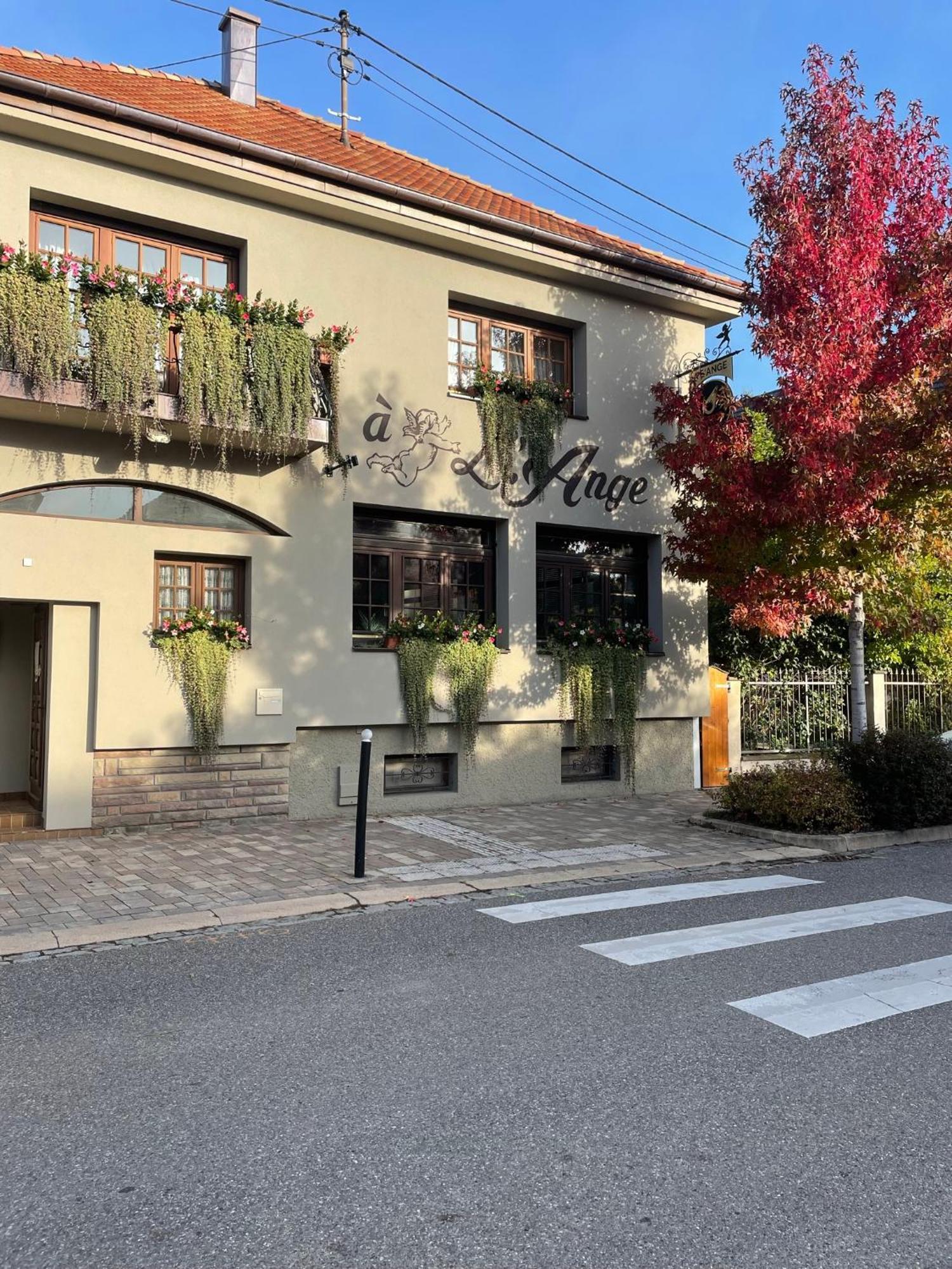 Restaurant Les Alizés Hotel 3*